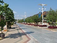 IMG_9698.jpg