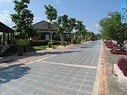 IMG_9700.jpg