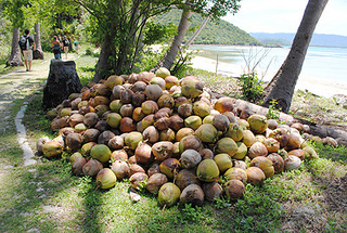 kohtan-9.jpg