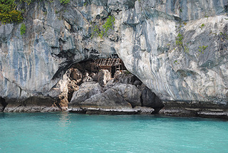 swarrownest-3.jpg